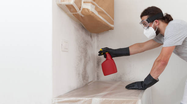 Professional Attic Mold Removal technician working in Linden, VA