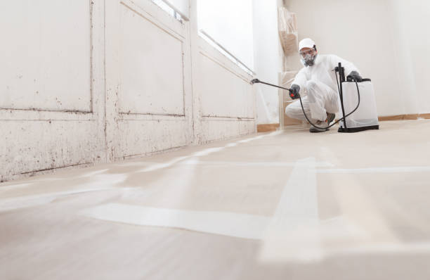 24/7 Emergency Attic Mold Removal experts in Linden, VA