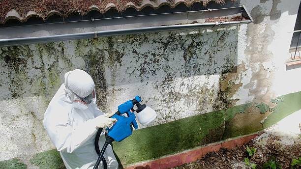 Trusted Mold Removal service in Linden, VA - Cheap Mold Removal